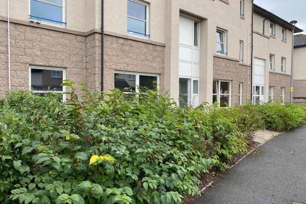 Peter Pan Apartment In The Heart Of Inverness Dalneigh Kültér fotó